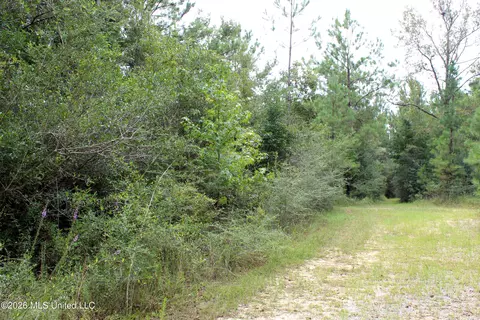 John Kelly Road, Lucedale, MS 39452 photo 7