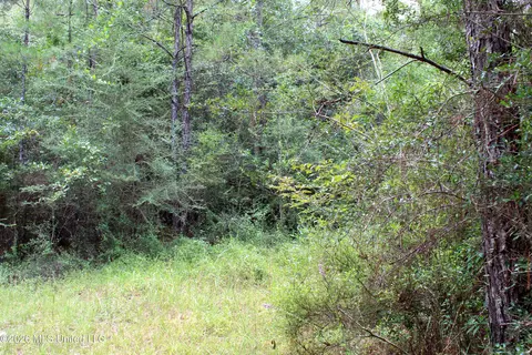John Kelly Road, Lucedale, MS 39452 photo 4