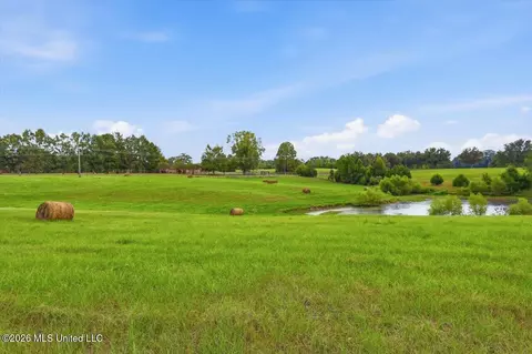 Other - 1124 Perrett Rd, Hazlehurst, MS 39083 photo 7 of 37
