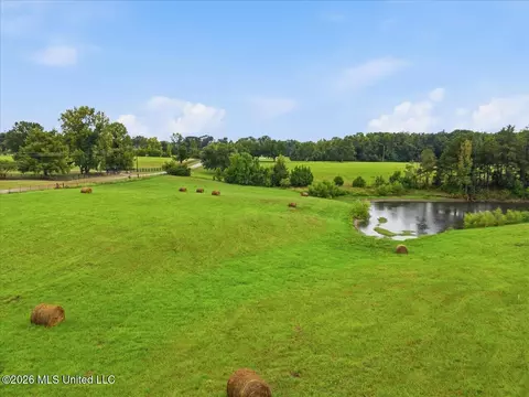 View/Area - 1124 Perrett Rd, Hazlehurst, MS 39083 photo 1 of 2