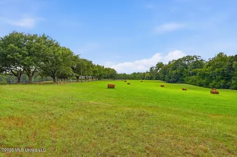 Other - 1124 Perrett Rd, Hazlehurst, MS 39083 photo 5 of 37