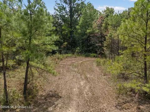Brownlee Road, Sarah, MS 38665 photo 5