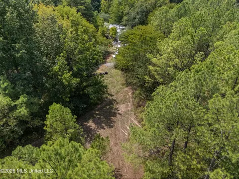 Brownlee Road, Sarah, MS 38665 photo 9