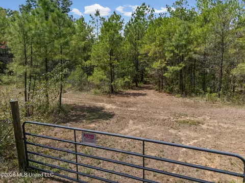 Brownlee Road, Sarah, MS 38665 photo 2