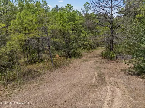 Brownlee Road, Sarah, MS 38665 photo 6