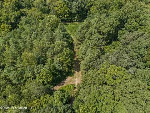 Brownlee Road, Sarah, MS 38665 photo 14