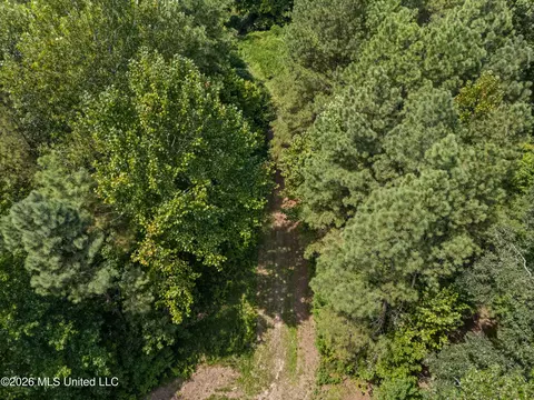 Brownlee Road, Sarah, MS 38665 photo 16