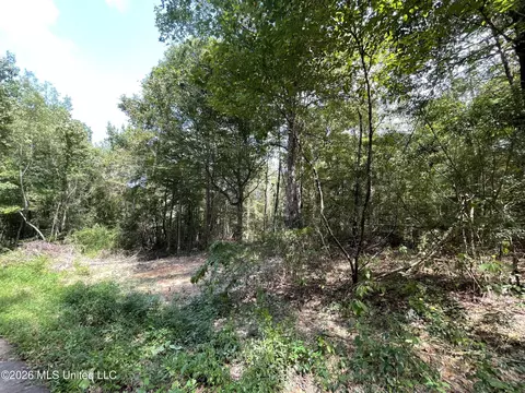 Roberts Lane, Wesson, MS 39191 photo 5