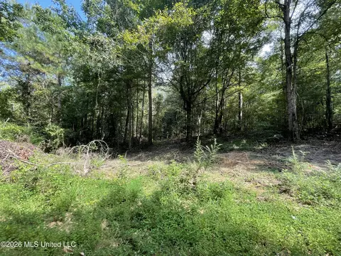 Roberts Lane, Wesson, MS 39191 photo 4