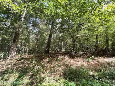 Roberts Lane, Wesson, MS 39191 photo 3