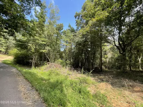 Roberts Lane, Wesson, MS 39191 photo 2