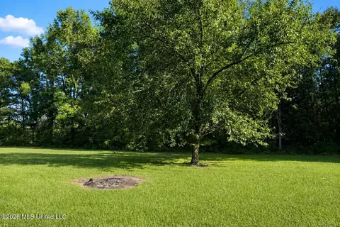 Exterior - 1070 Deerfield Rd, Summit, MS 39666 photo 8 of 8