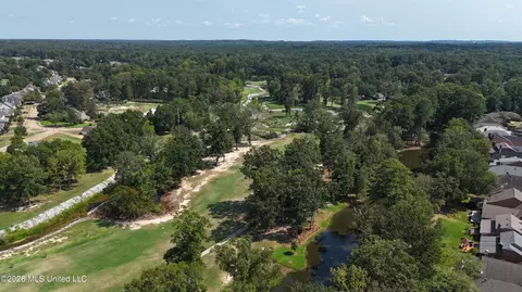 View/Area - 443 Bradford Dr, Brandon, MS 39047 photo 3 of 3
