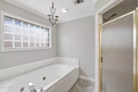 Bath - 443 Bradford Dr, Brandon, MS 39047 photo 2 of 4