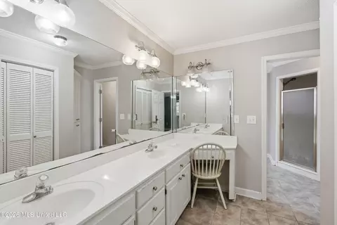 Bath - 443 Bradford Dr, Brandon, MS 39047 photo 1 of 4