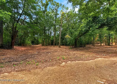 Bellview Avenue, Moss Point, MS 39563 photo 3