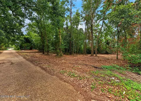 Bellview Avenue, Moss Point, MS 39563 photo 4