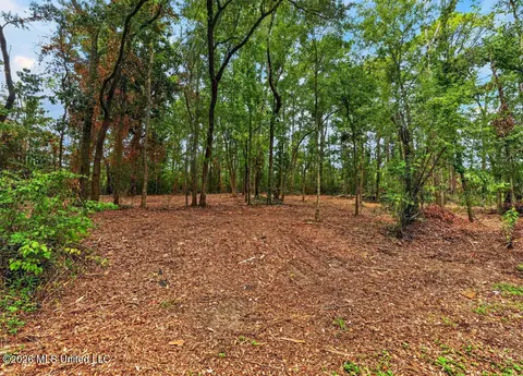 Bellview Avenue, Moss Point, MS 39563 photo 5