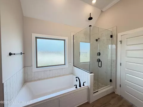 Bath - 139 Palace Xing, Flowood, MS 39232 photo 3 of 7