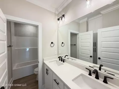 Bath - 139 Palace Xing, Flowood, MS 39232 photo 6 of 7