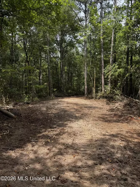 Earnest A Thompson, Ruth, MS 39662 photo 18