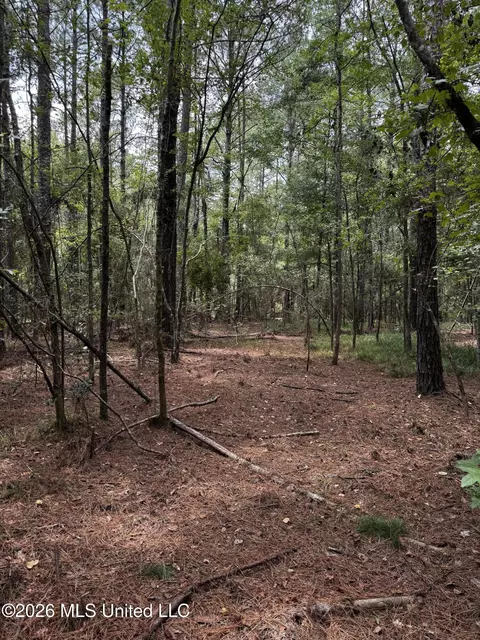 Earnest A Thompson, Ruth, MS 39662 photo 21