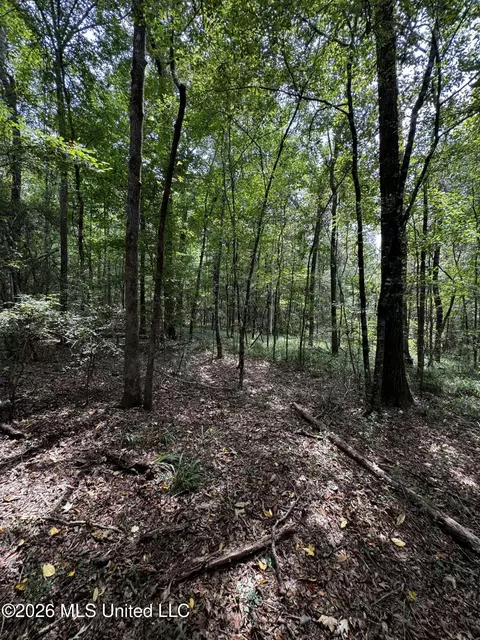 Earnest A Thompson, Ruth, MS 39662 photo 6
