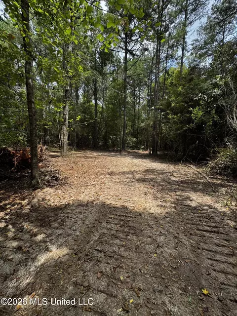 Earnest A Thompson, Ruth, MS 39662 photo 23