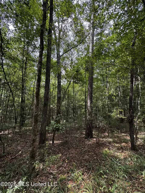 Earnest A Thompson, Ruth, MS 39662 photo 9
