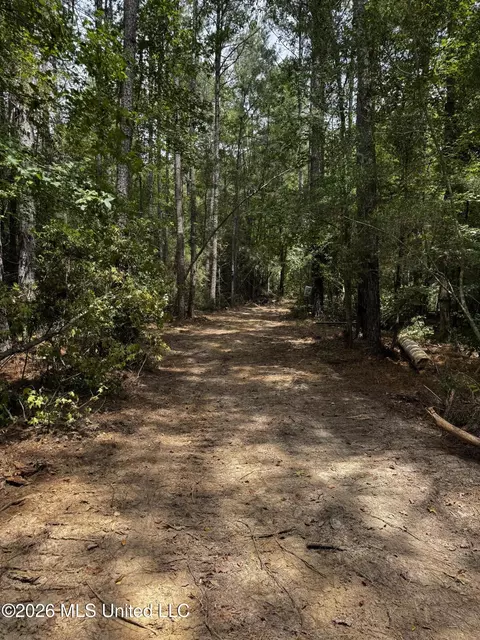 Earnest A Thompson, Ruth, MS 39662 photo 24