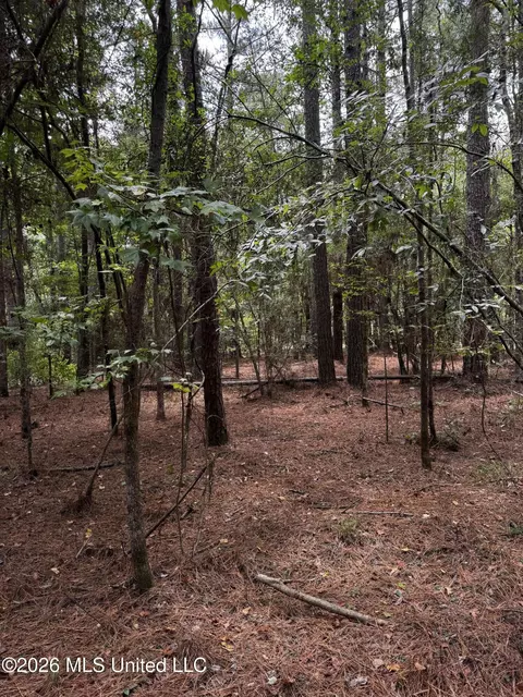 Earnest A Thompson, Ruth, MS 39662 photo 16