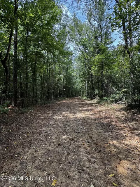 Earnest A Thompson, Ruth, MS 39662 photo 25