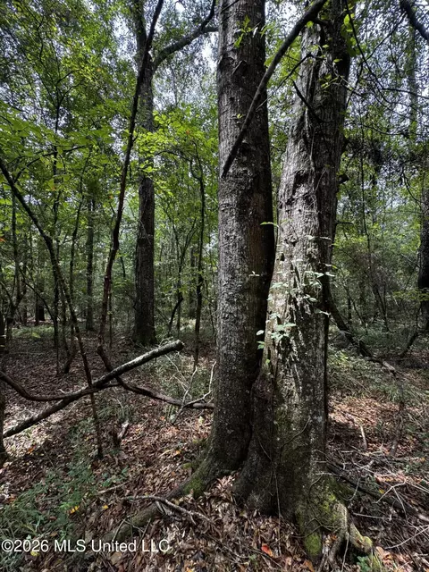 Earnest A Thompson, Ruth, MS 39662 photo 15