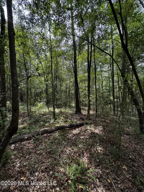 Earnest A Thompson, Ruth, MS 39662 photo 8