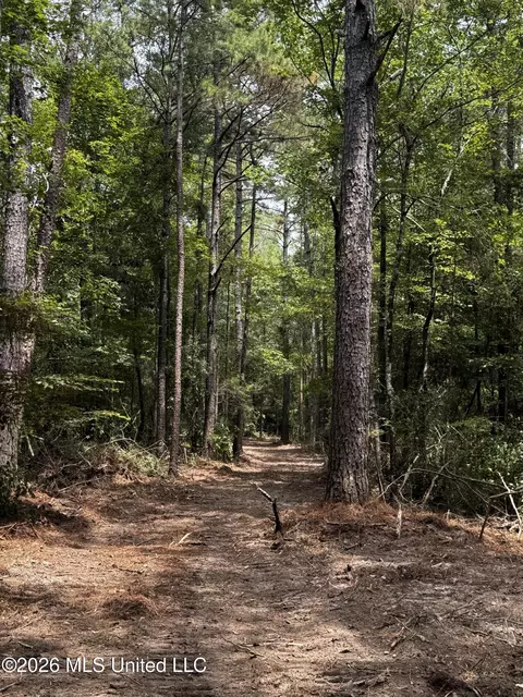 Earnest A Thompson, Ruth, MS 39662 photo 19