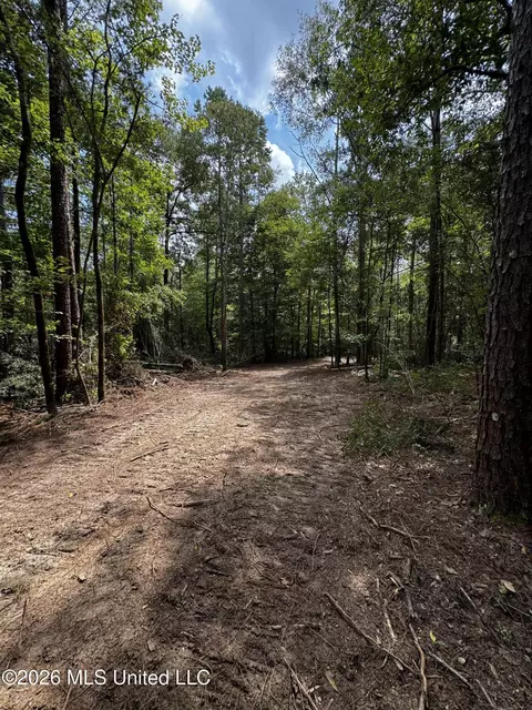 Earnest A Thompson, Ruth, MS 39662 photo 12