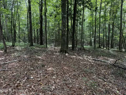 Earnest A Thompson, Ruth, MS 39662 photo 4