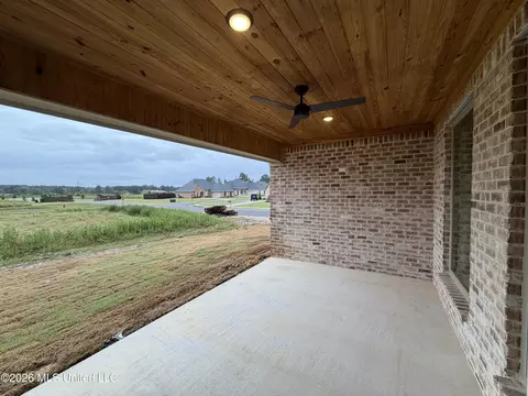 Exterior - 141 Palace Xing, Flowood, MS 39232 photo 3 of 4