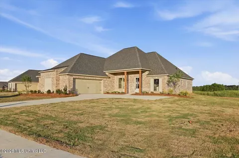 Exterior - 141 Palace Xing, Flowood, MS 39232 photo 3 of 10