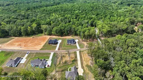View/Area - 928 Mullican Rd, Florence, MS 39073 photo 5 of 17
