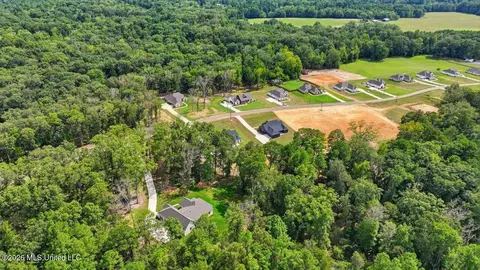 View/Area - 928 Mullican Rd, Florence, MS 39073 photo 8 of 17