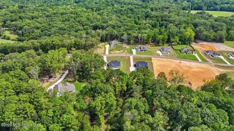 View/Area - 928 Mullican Rd, Florence, MS 39073 photo 9 of 17