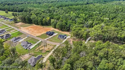 View/Area - 928 Mullican Rd, Florence, MS 39073 photo 6 of 17