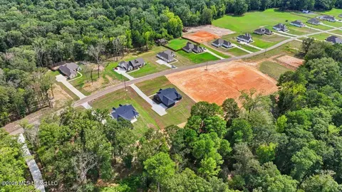 View/Area - 934 Mullican Rd, Florence, MS 39073 photo 10 of 18