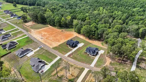 View/Area - 934 Mullican Rd, Florence, MS 39073 photo 8 of 18