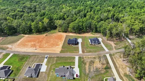 View/Area - 934 Mullican Rd, Florence, MS 39073 photo 7 of 18