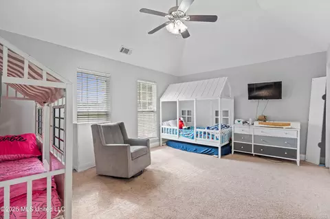 Other - 3903 Misty Oaks Ln, Nesbit, MS 38651 photo 13 of 16