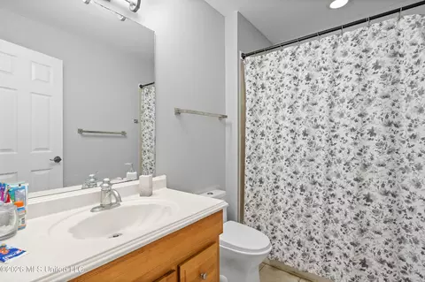 Bath - 3903 Misty Oaks Ln, Nesbit, MS 38651 photo 9 of 9