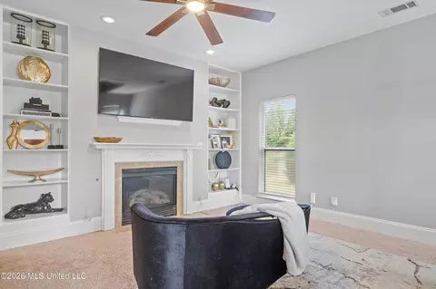 Other - 3903 Misty Oaks Ln, Nesbit, MS 38651 photo 9 of 16