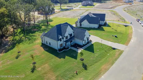 View/Area - 124 Oakworth Dr, Hernando, MS 38632 photo 2 of 2